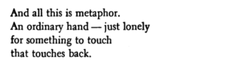 artcompilations: A Mad Man who does Not Love Me - Maisoon Saqr, trans. Khaled Mattawa // Pride and P