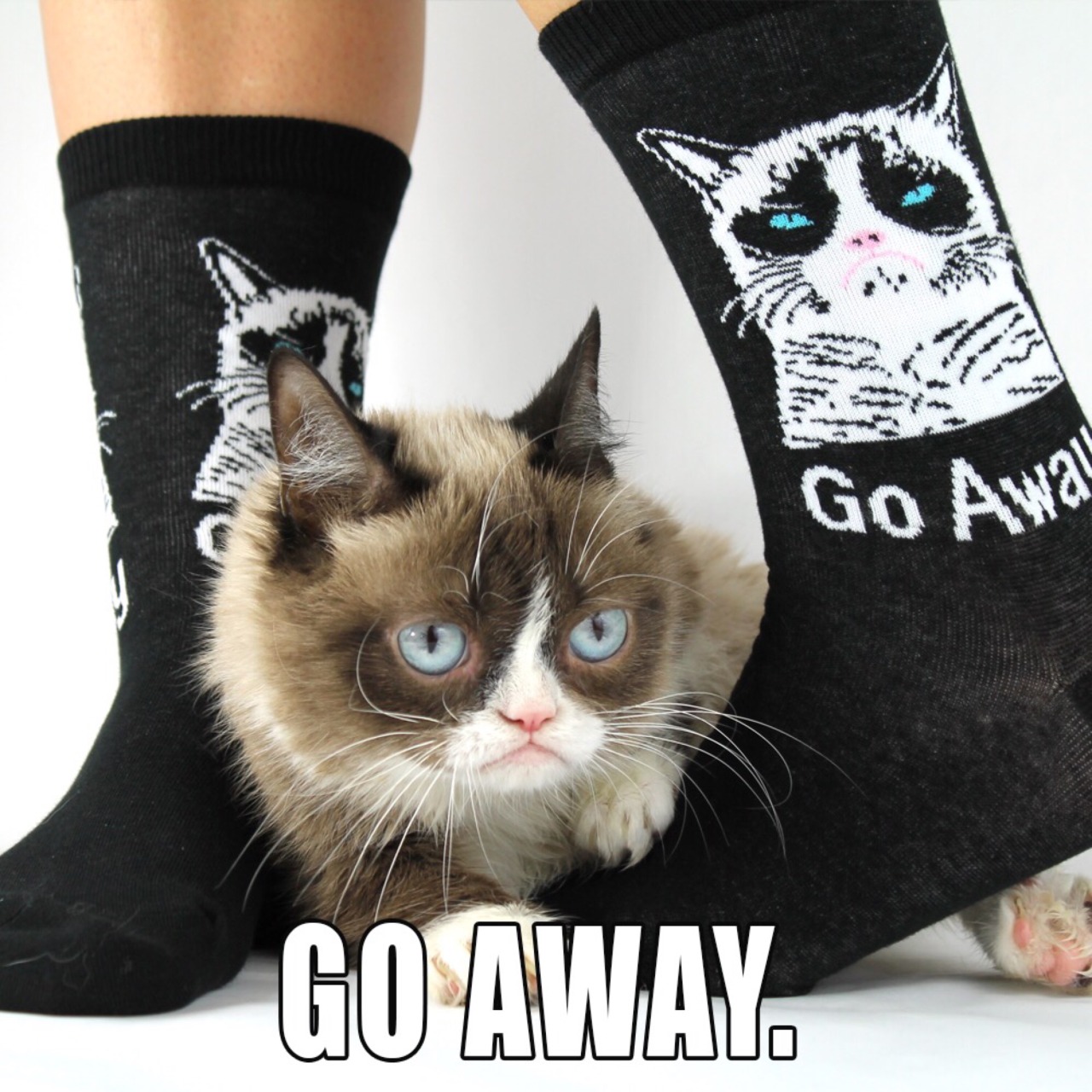 #BadGiftIdea Grumpy Cat Socks for from K. Bell Socks https://grumpy.cat/kbellsocks