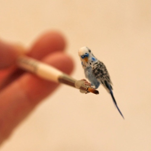 sosuperawesome:  Poseable Miniature Birds, by Katie Doka on Etsy  See our ‘miniatures’ tag 