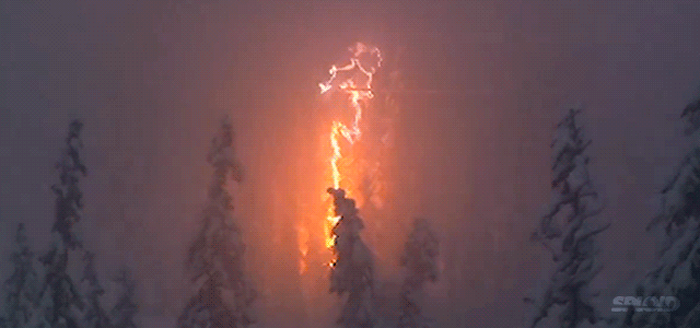 cybermax:  Tree cast Lighting. It was super effective. And suicidal. 