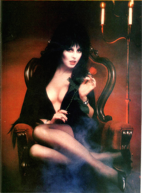 thefugitivesaint:‘Elvira: Mistress of the Dark’, “Fangoria”, #22, 1982 Source