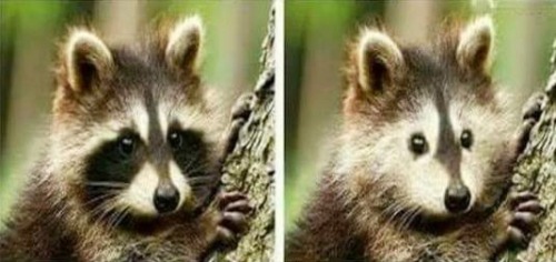 imemeflix:Cuando por fin duermes 8 horas.