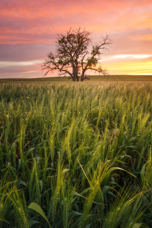 Colorado’s Eastern Plains–instagram.com/caseymac