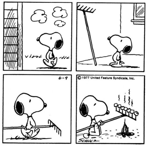 Snoopy Of The Day