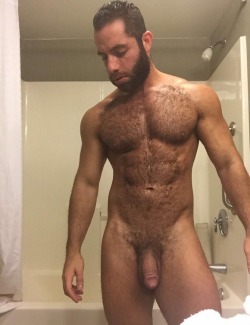 thebearunderground:  Follow The Bear Underground and check archives.Posting hot hairy men since 2010 to 17,000+ followers