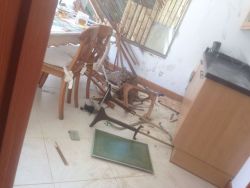 pangeachasmata:unexplained-events:CatCougar breaks into man’s house and….destroys his blinds.  all cats is the same 