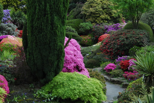 sonya-heaney:May in the gardens of Leonardslee, West Sussex, England.