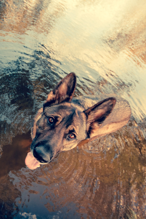 plasmatics-life:  Happy & Wet by Clicking Mad | (Website) 