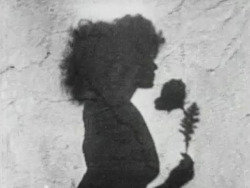 dansuncarnavalmonochrome:  MAYA DEREN, Meshes