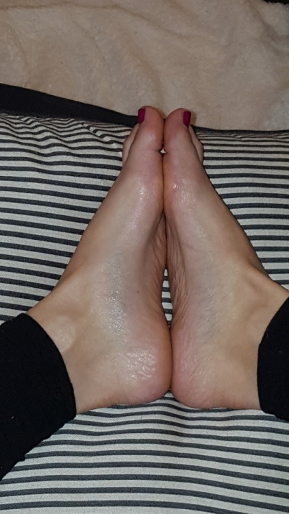 myprettywifesfeet:my wife’s pretty feet.just rubbed them with argon oil.please comment it keep