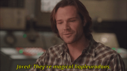 nothingidputbeforeyou:  Jensen and Jared making each other laugh with Charlie the