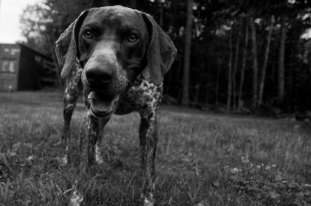 luizhrq5:  Type A by Larry ScrappyChief on Flickr.