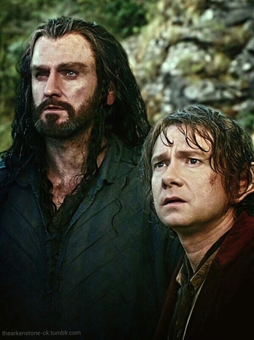 thearkenstone-ck: Thorin &amp; Bilbo