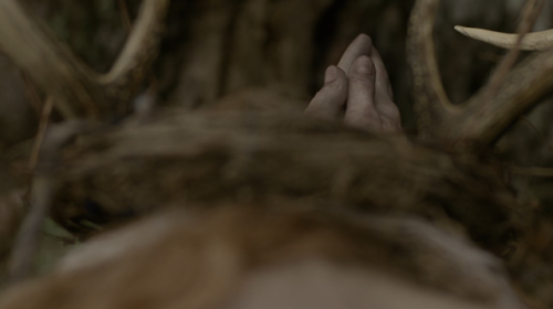 True Detective, 2014Episode 1 “ The Long Bright Dark ”Crime, Drama, ThrillerDirecte