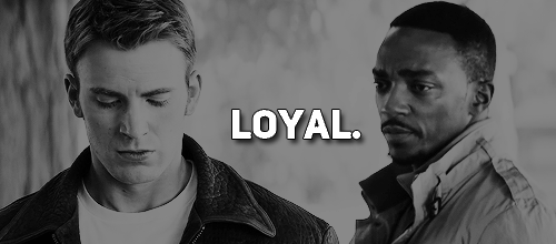 stevesamtrash:Dear Chris Evans; if you had to use three words to describe the relationship between S