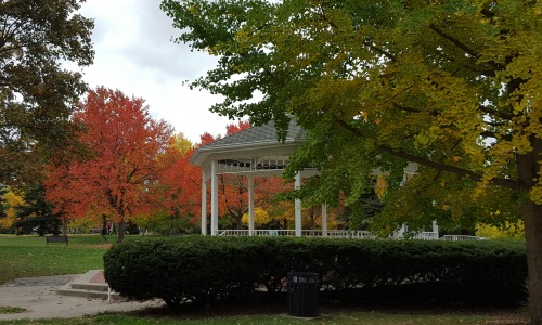 madlori:Fall foliage and Halloween decorations in Victorian Village, Columbus, OH.