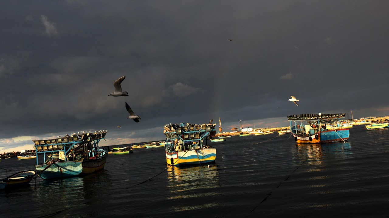 ATARDECER EN GAZA. Un grupo de palestinos camina junto a la orilla o se dedica a la pesca, en el puerto de la franja de Gaza, durante la puesta de sol, en Palestina, el 24 de noviembre de 2017. REUTERS Y EFE/ Mohammed Salem)
MIRÁ TODA LA FOTOGALERÍA