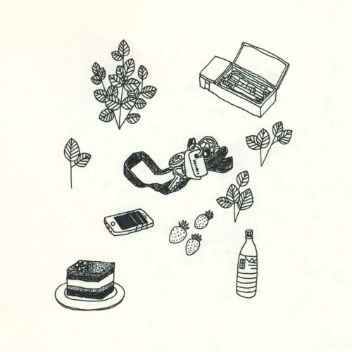 rosewong:Stuff on the kitchen table + plants