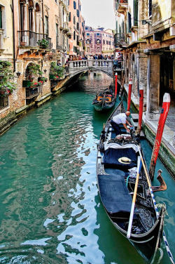  Ponti di Venezia  | by © luciano dionisi | via wanderlust-stricken 