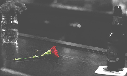 lost and disillusioned