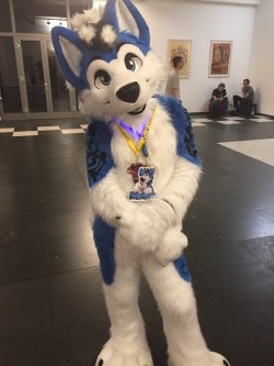 fursuitpursuits:  RT @SieoPup: Blue cutie too! @Ramawson https://t.co/Yoi7xVbhfU (Source)   I used to find fursuits grotesque, but lately they have grown on me. That is remarkable craftsmanship.