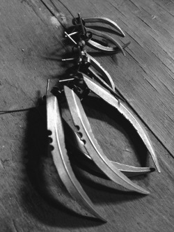 ovate:  Ovate Scythe Blade Earrings 