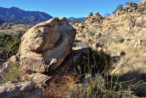 Granite boulders along the slopes of the Little Rincon Mountains, Arizona.