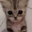 thesleeepybeee