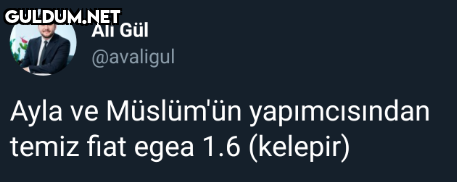 Ali Gül @avaligul Ayla ve...