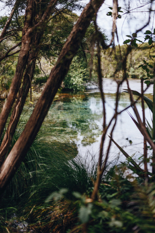 piavalesca:pupu springs, sacred waters to the maori,sparkling in emerald, turquoise and blue