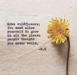 twloha:  “Like wildflowers; you must allow