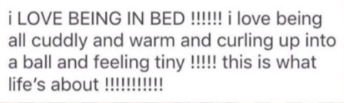 MBTI As Funny Things On The Internet : Introvert Edition