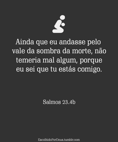 Sou um erro que tenta desesperadamente acertar.