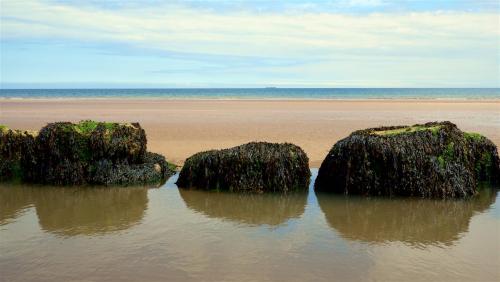 On the Beach.