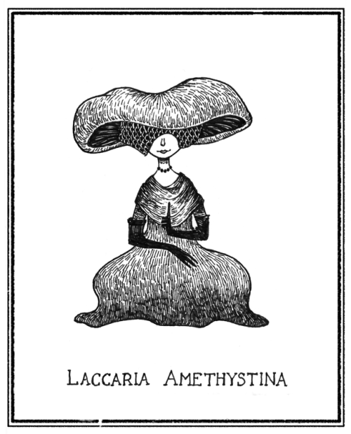 Mushroom ladies (from the #mayshroom challenge on instagram)