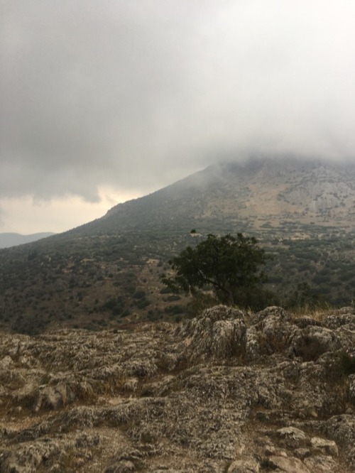 smokedgouda:mycenae, greece • june 2017