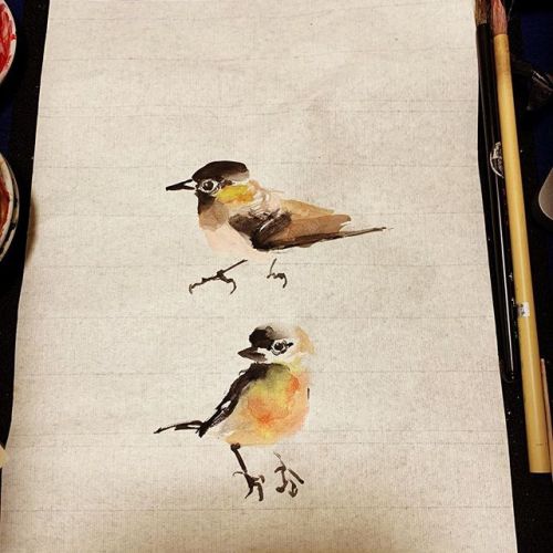 fake-plastic-things:何鳥・・・？カラフルな鳥です。From Instagram