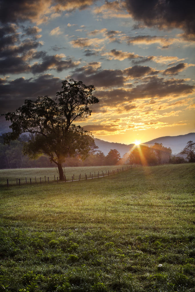 c0untrygirlcansurvive:  Country blog x