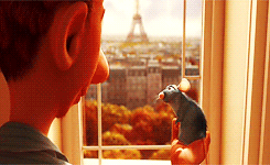 maybelleteas:  Beauty in Animated Movies: Ratatouille (2007)           