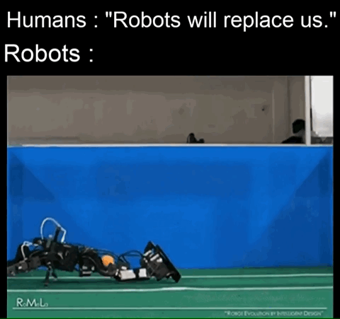 dankmemeuniversity: