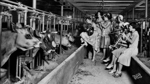 the1920sinpictures:1930 “The Ingenues” all-girl band serenade cows at the University of Wisconsin. F
