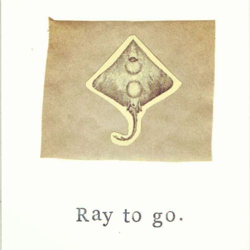 bluespecsstudio:  Marine Biology Cards by BlueSpecsStudio  ( ^_^ )