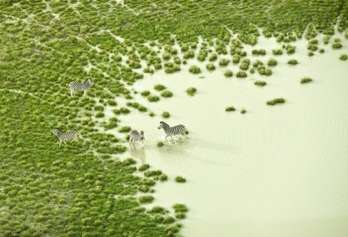 nouralogical - Breathtaking aerial photography by Zack...