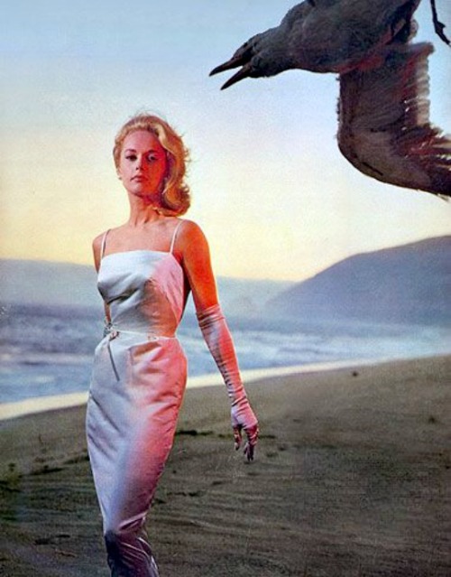 meganmonroes:Tippi Hedren promoting The Birds in 1963.