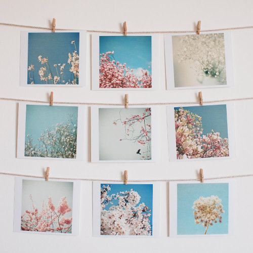 pastelpresent:  Nature Photography, Spring Flowers, Floral Prints, Pastel Colours, Photograph Collec