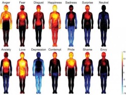 medbeyondwords:  Heat maps reveal where you feel emotions in your body 