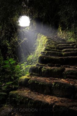luna-intheforest:  woodendreams:  Inca Trail,