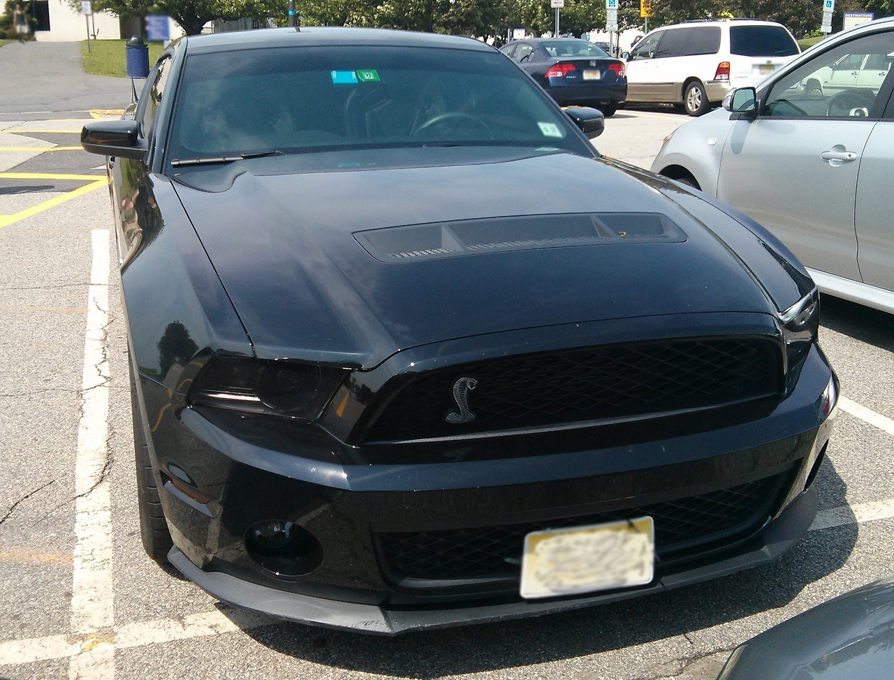 fuckyeahfordmustangs:  A beautiful surprise I stumbled upon at school!