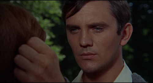 “It’s despair at the lack of feeling, of love, of reason in the world. It’s despair that anyone can 
