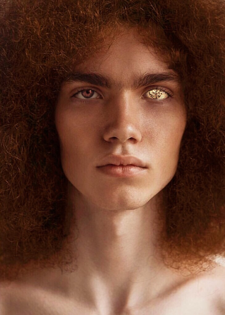 Featured image of post View 17 Lucien Acotar Fancast